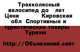 Трехколесный велосипед до 3 лет › Цена ­ 1 000 - Кировская обл. Спортивные и туристические товары » Туризм   
